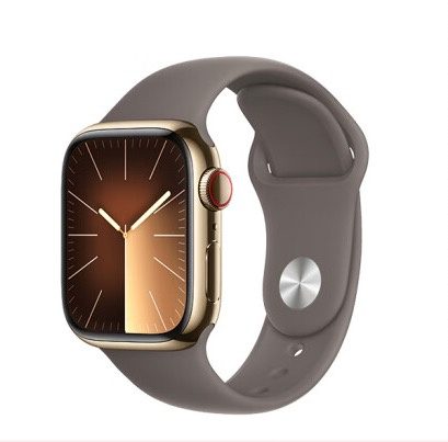 Apple Watch 9    (3)