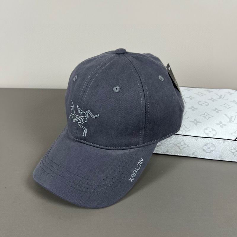 Arcteryx Cap dx (1653)