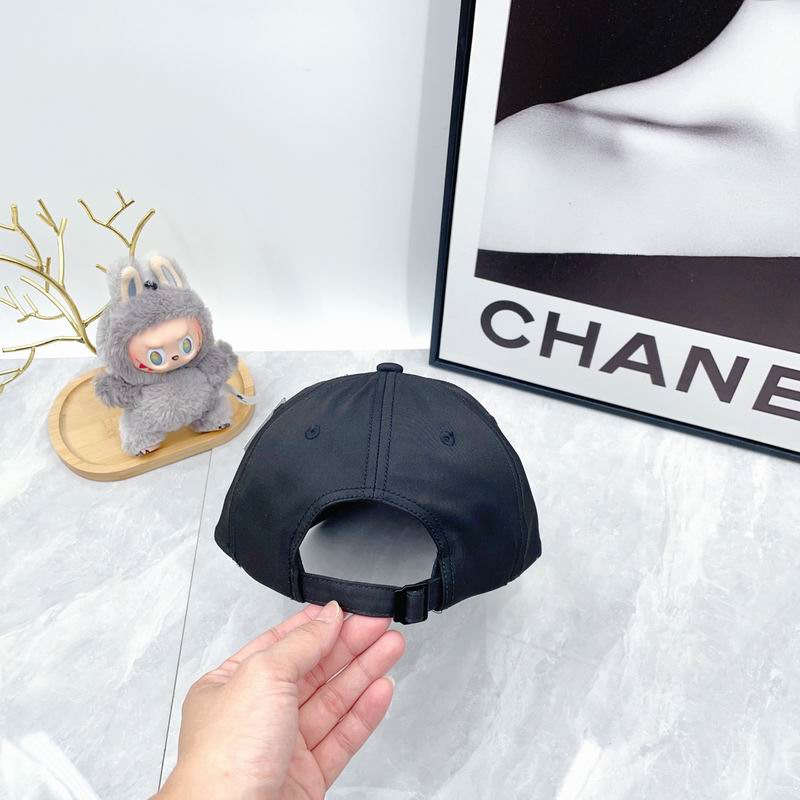 Arcteryx Cap dx (2748)