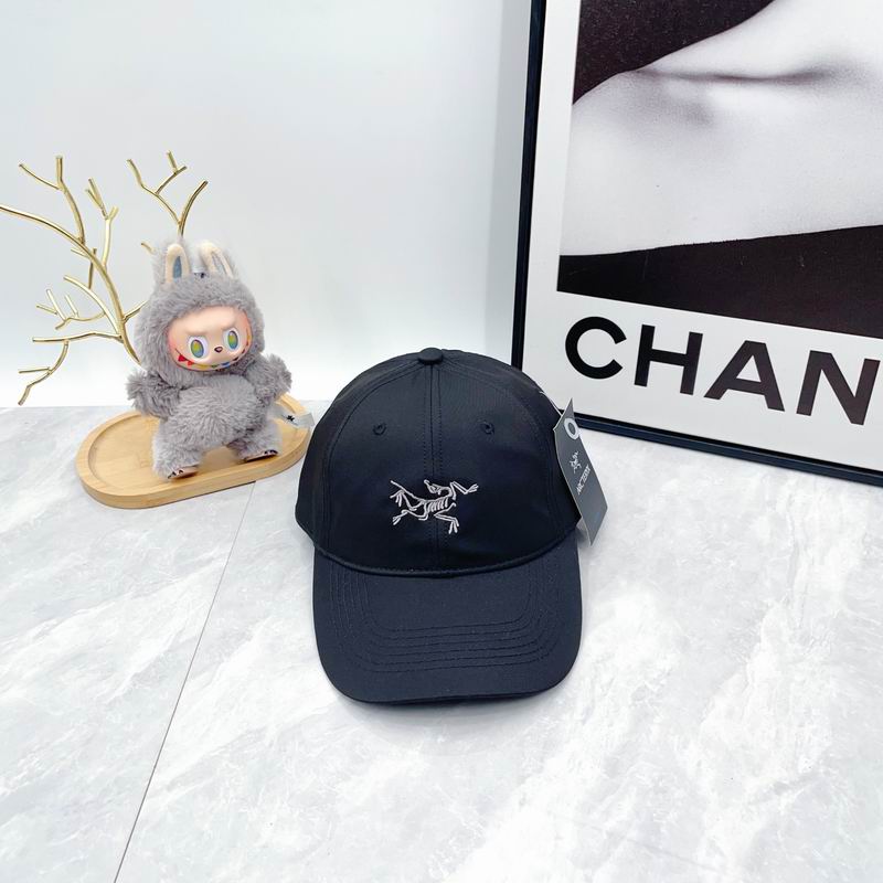 Arcteryx Cap dx (2750)