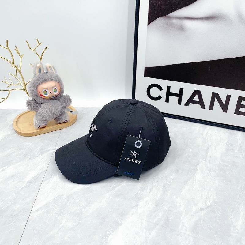 Arcteryx Cap dx (2751)