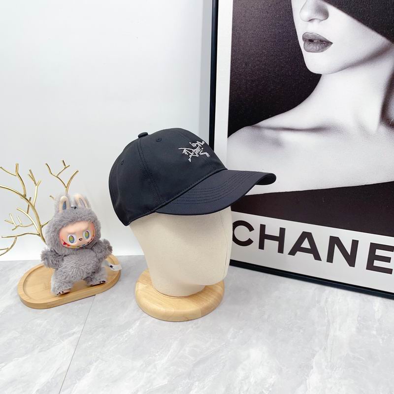 Arcteryx Cap dx (2752)