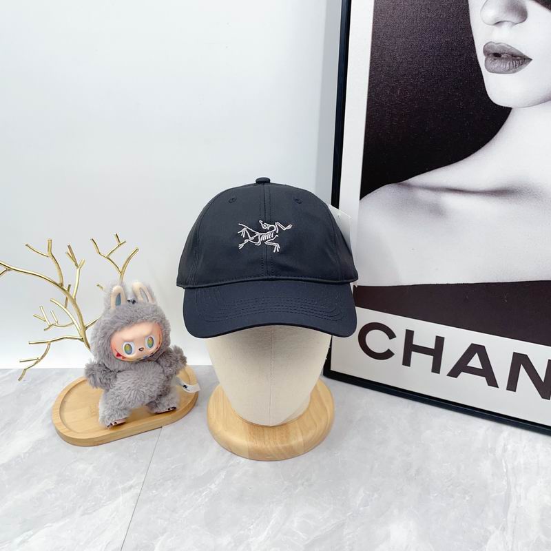 Arcteryx Cap dx (2754)