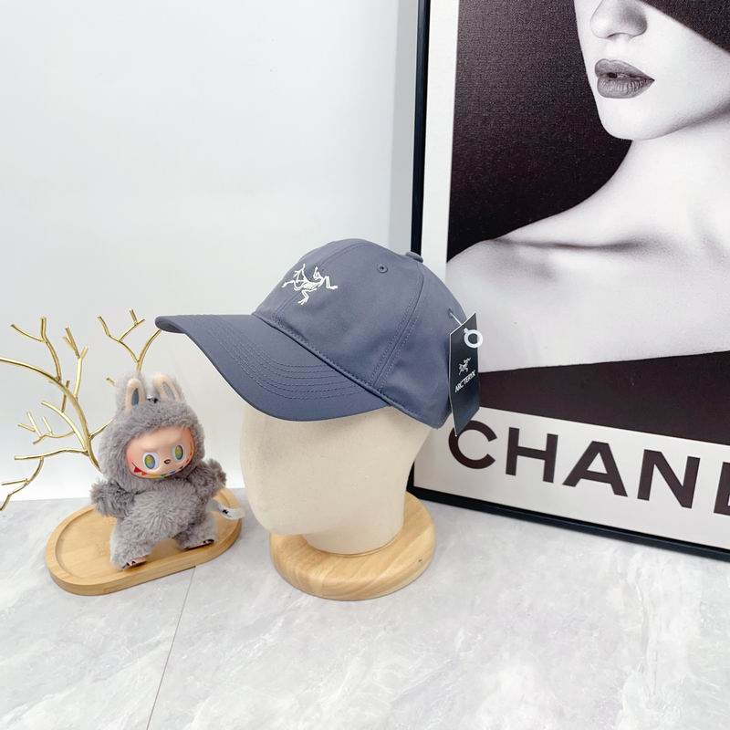 Arcteryx Cap dx (2761)