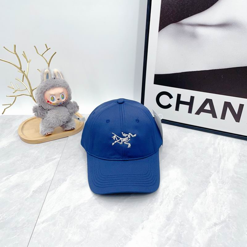 Arcteryx Cap dx (2768)