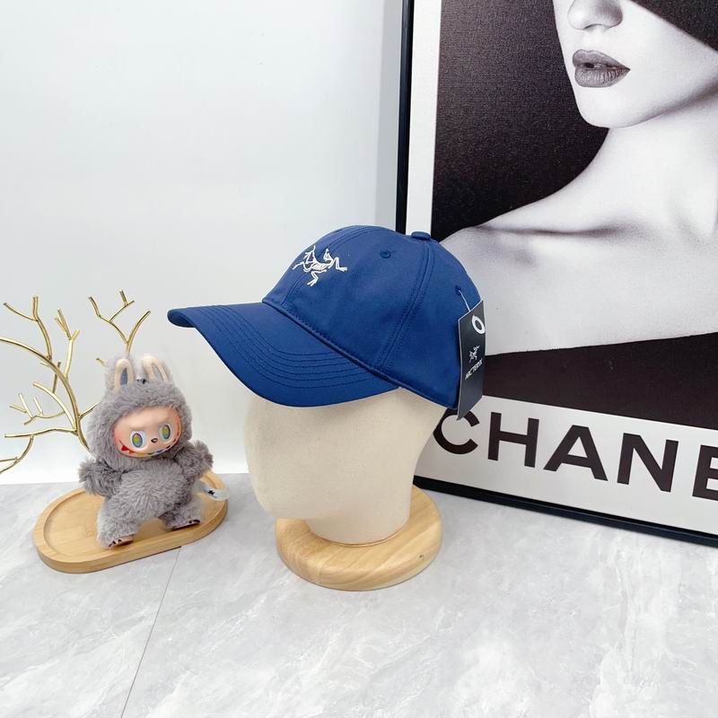 Arcteryx Cap dx (2771)