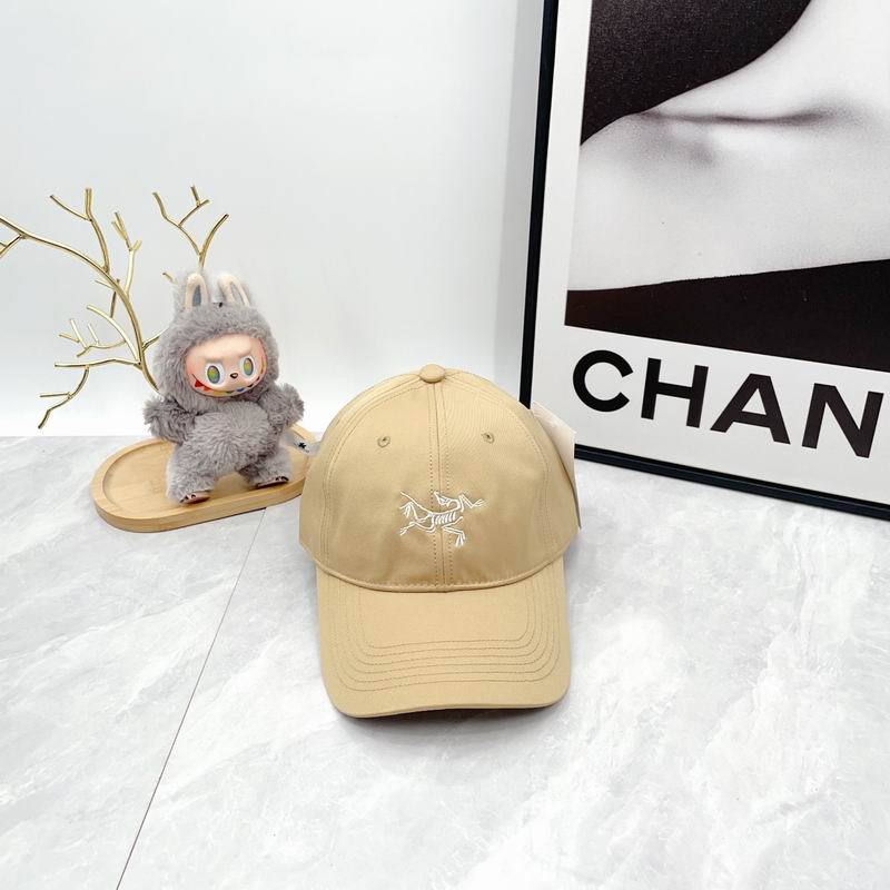 Arcteryx Cap dx (2786)