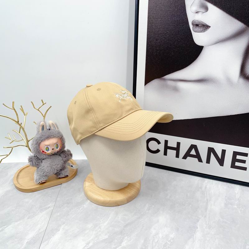 Arcteryx Cap dx (2788)