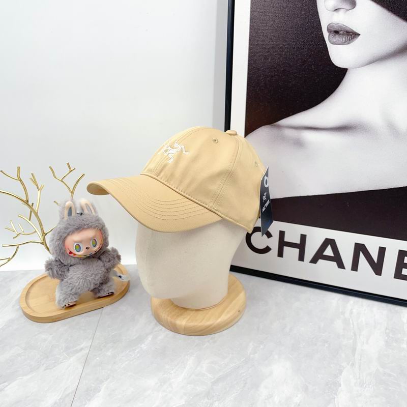 Arcteryx Cap dx (2789)