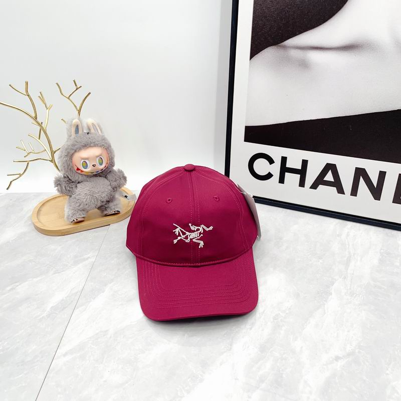 Arcteryx Cap dx (2795)