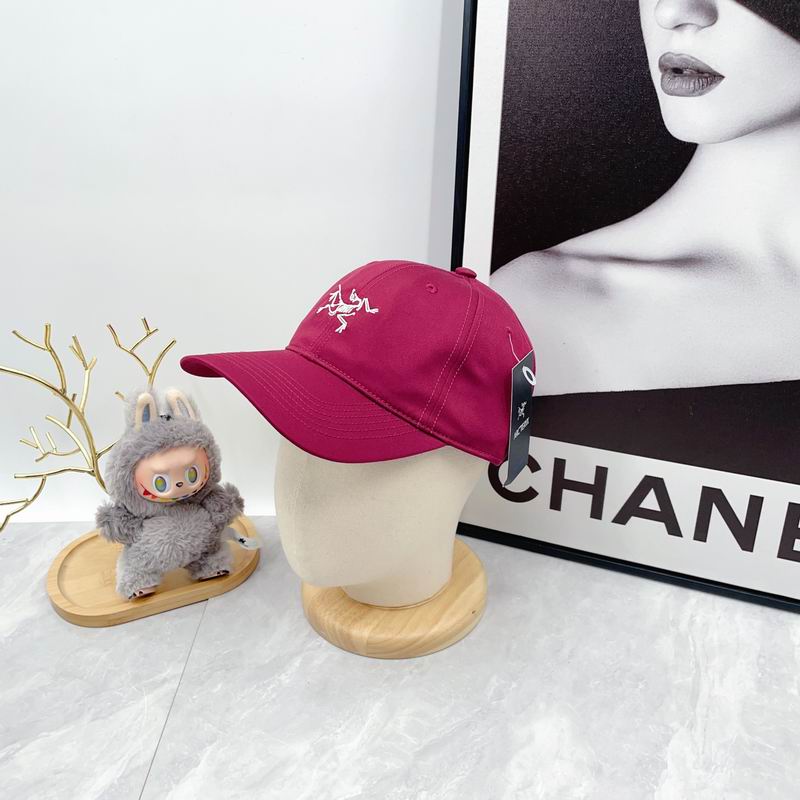 Arcteryx Cap dx (2797)