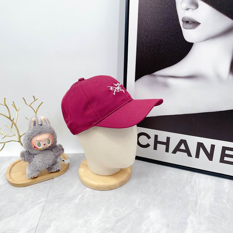 Arcteryx Cap dx (2798)