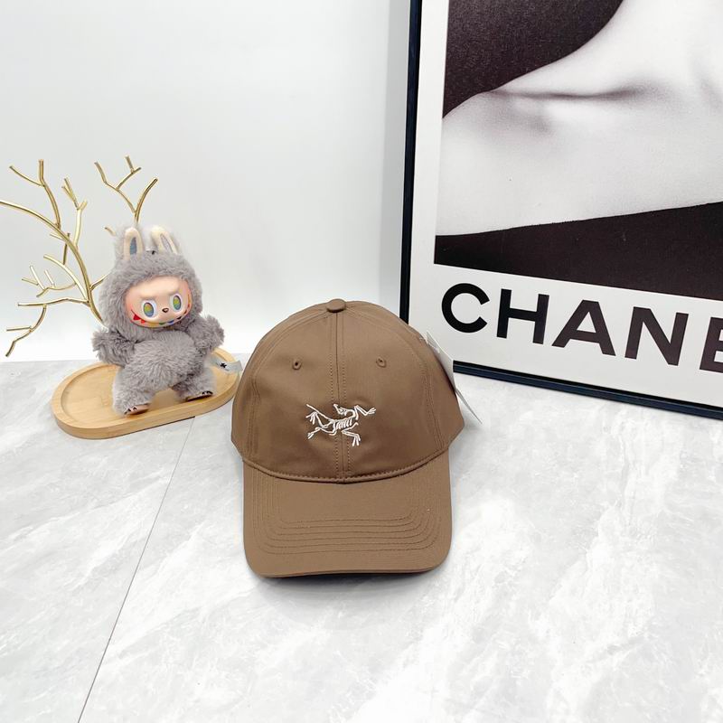 Arcteryx Cap dx (2804)