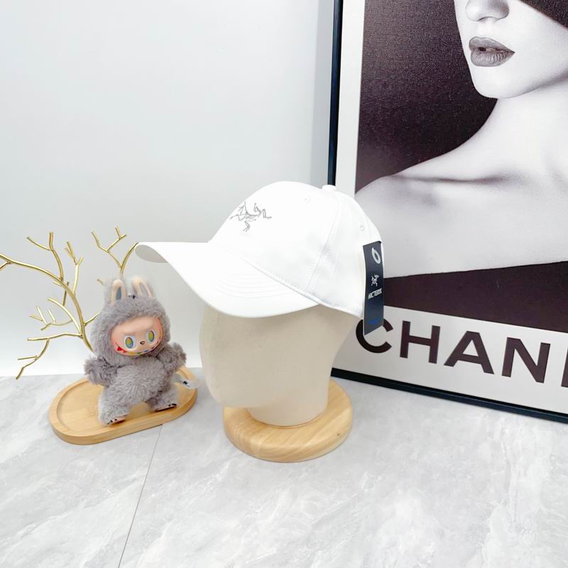 Arcteryx Cap dx (2815)