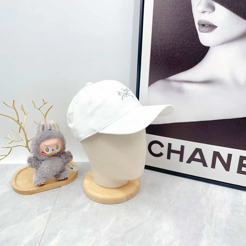 Arcteryx Cap dx (2816)