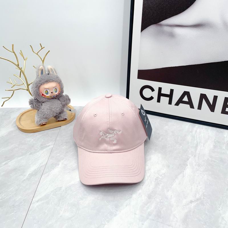 Arcteryx Cap dx (2822)