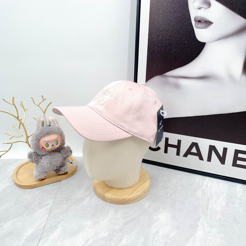 Arcteryx Cap dx (2824)