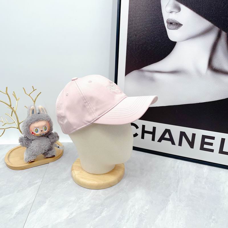 Arcteryx Cap dx (2825)