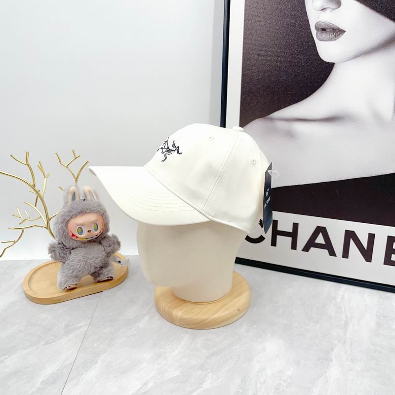 Arcteryx Cap dx (2833)