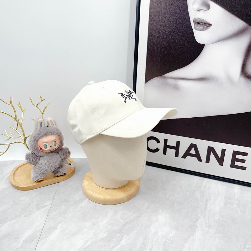 Arcteryx Cap dx (2834)