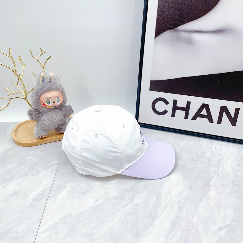 Arcteryx Cap dx (49)