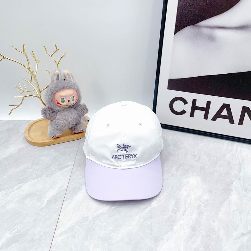 Arcteryx Cap dx (50)