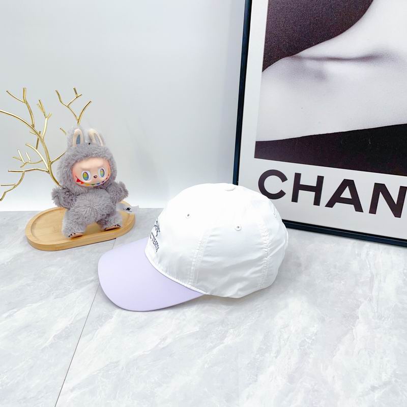 Arcteryx Cap dx (51)