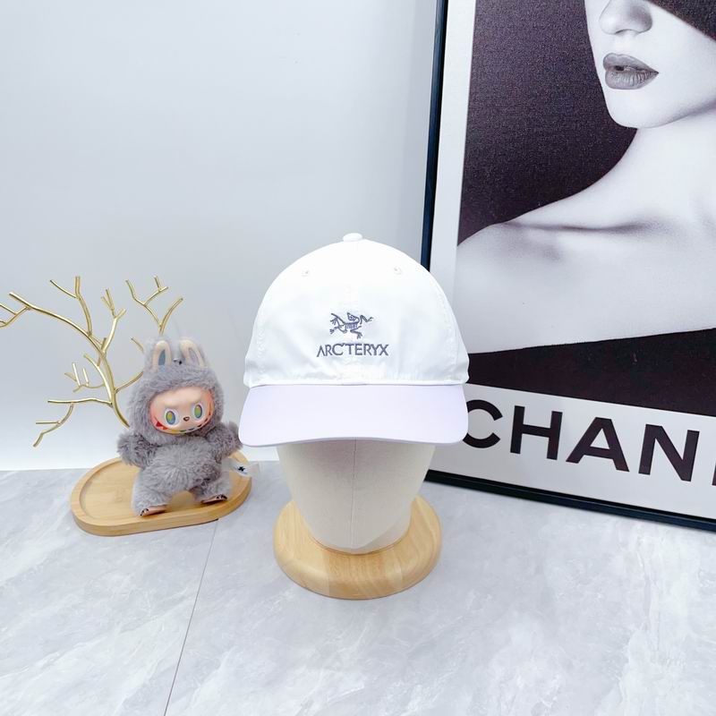 Arcteryx Cap dx (54)