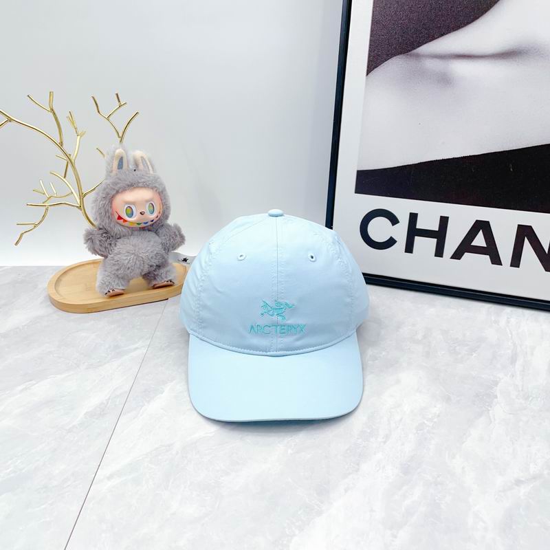 Arcteryx Cap dx (59)