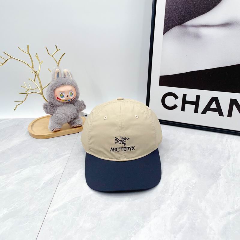 Arcteryx Cap dx (68)