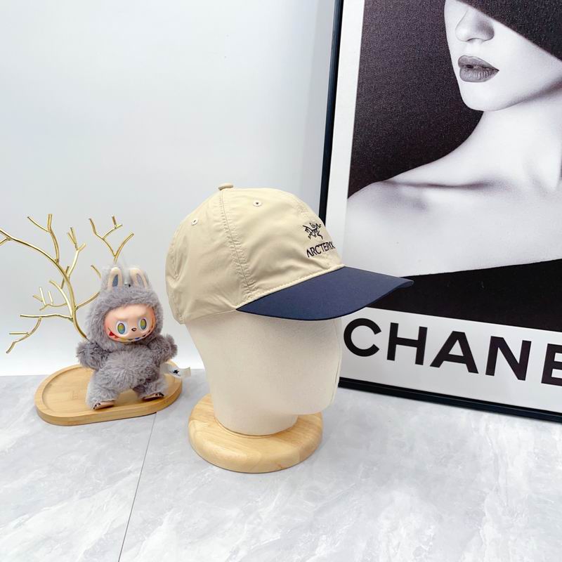 Arcteryx Cap dx (70)