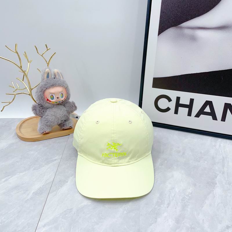 Arcteryx Cap dx (77)