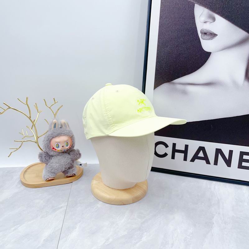 Arcteryx Cap dx (79)