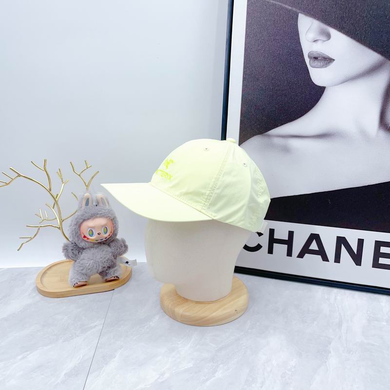 Arcteryx Cap dx (80)