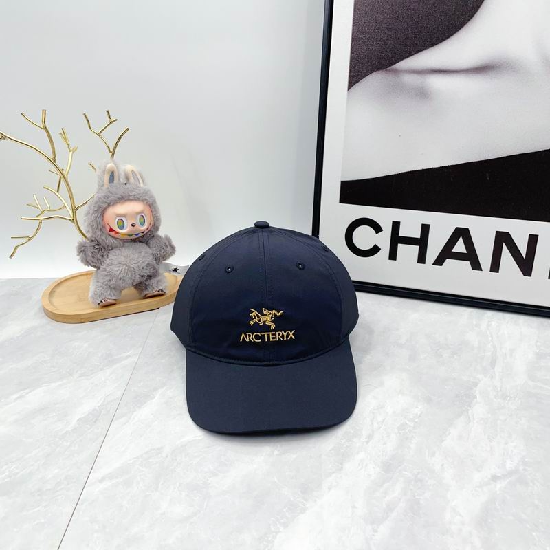 Arcteryx Cap dx (86)