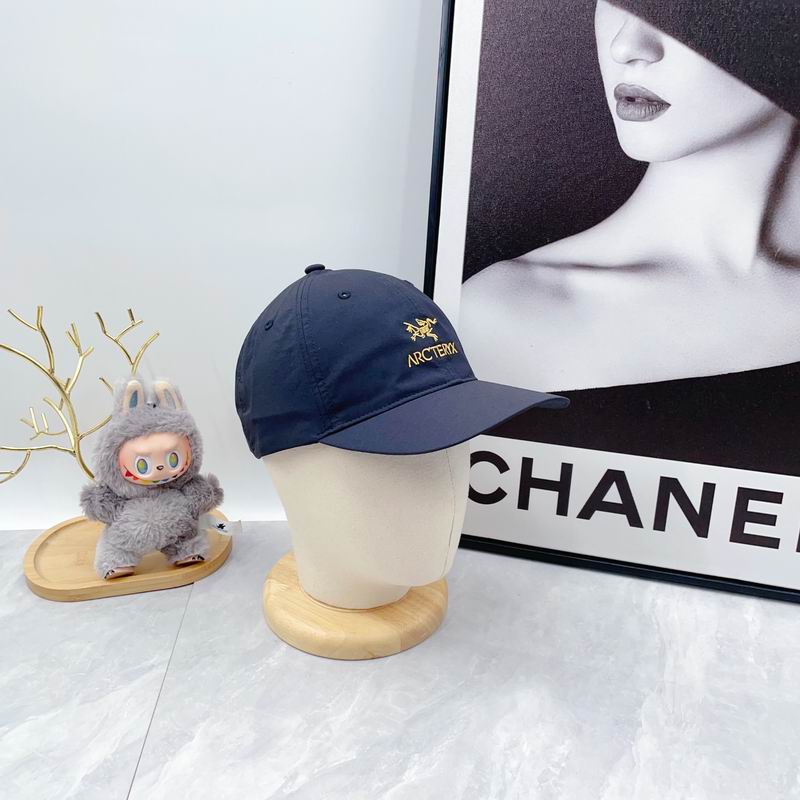 Arcteryx Cap dx (88)