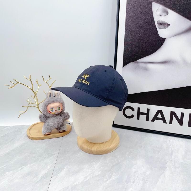 Arcteryx Cap dx (89)