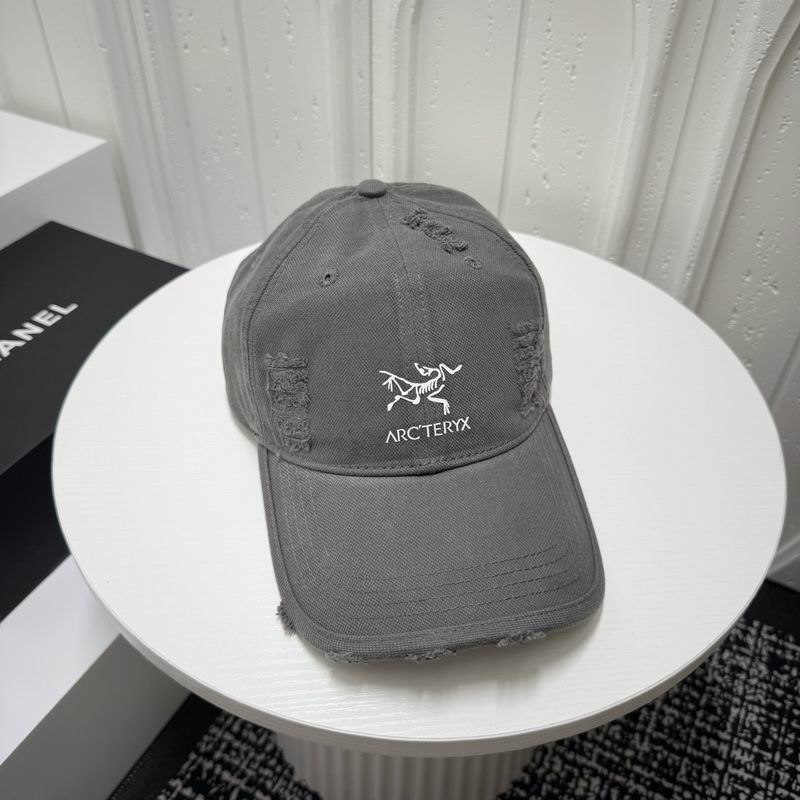 Arcteryx cap dx (1451)