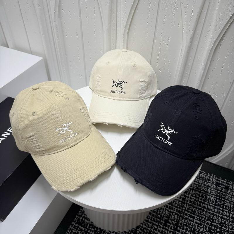 Arcteryx cap dx (1456)