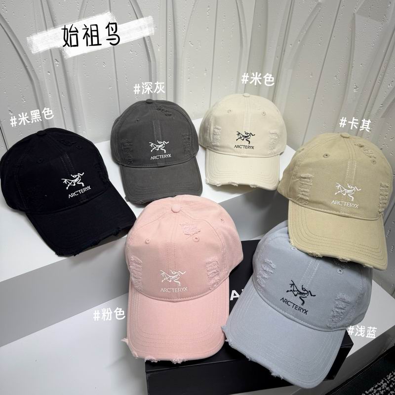 Arcteryx cap dx (1458)