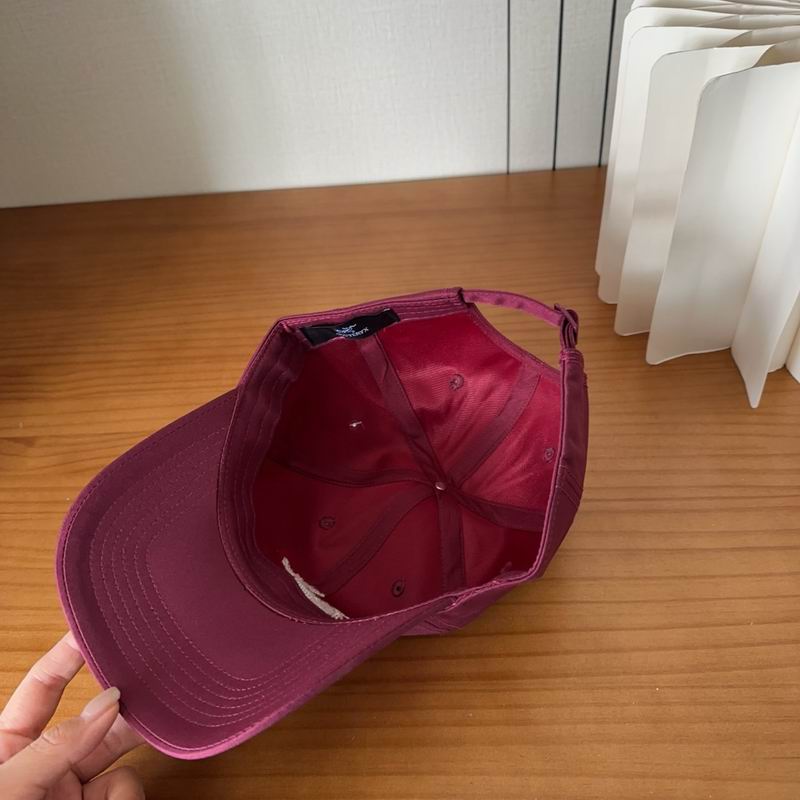 Arcteryx cap dx (411)