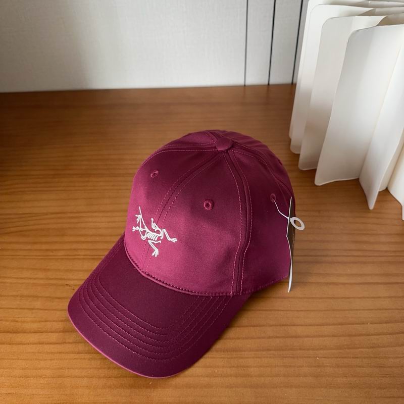 Arcteryx cap dx (416)