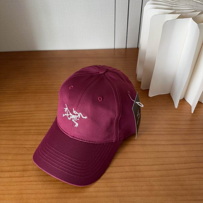 Arcteryx cap dx (419)