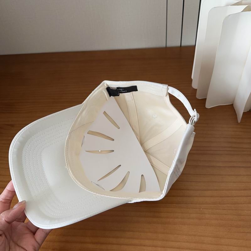 Arcteryx cap dx (421)