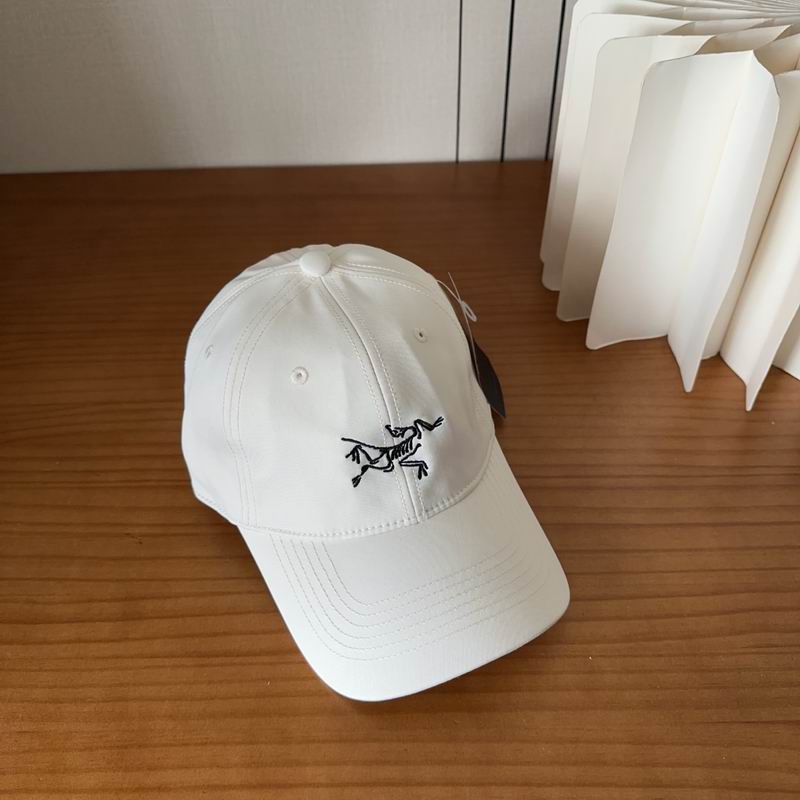 Arcteryx cap dx (424)