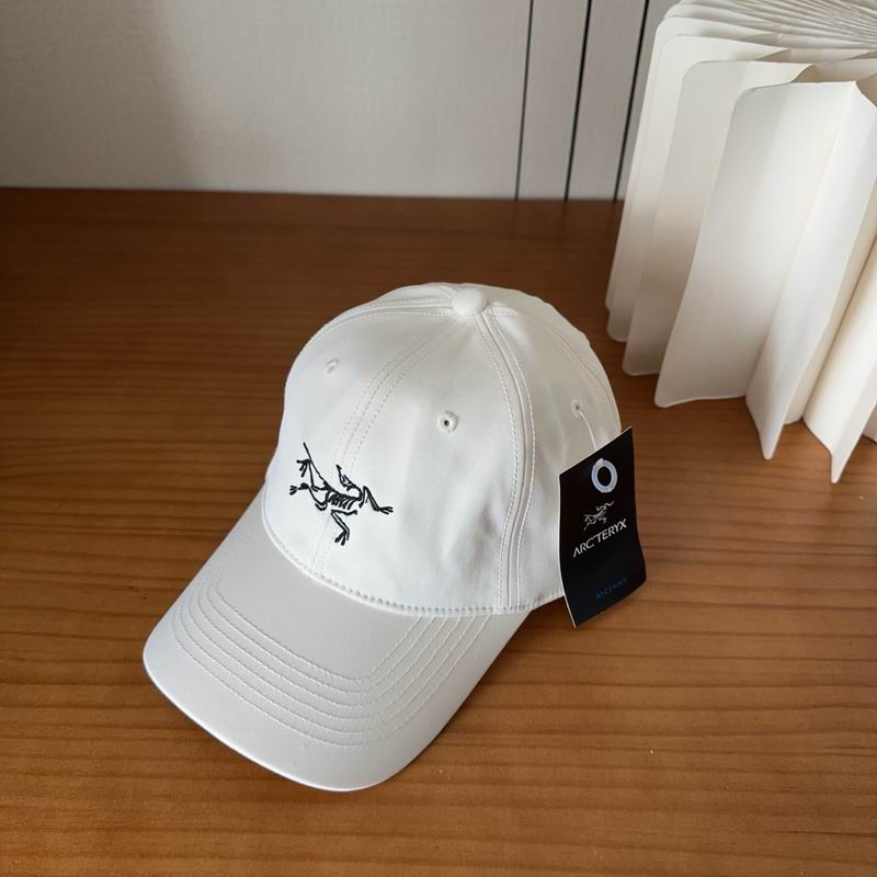 Arcteryx cap dx (427)