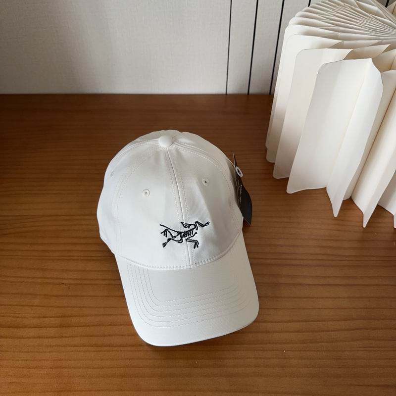 Arcteryx cap dx (428)
