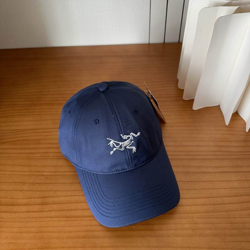 Arcteryx cap dx (434)