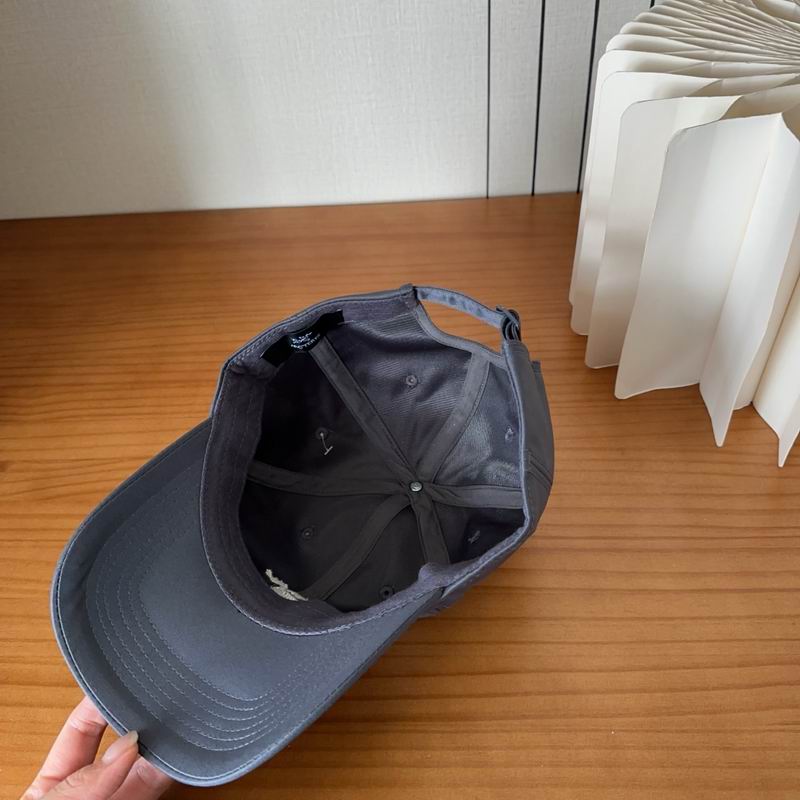 Arcteryx cap dx (439)