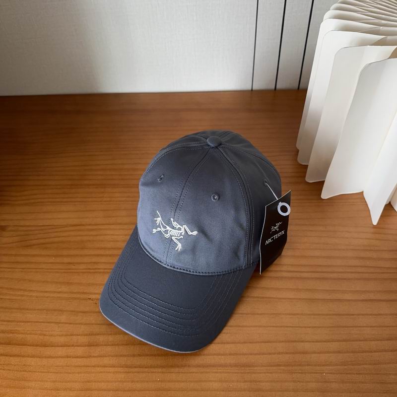 Arcteryx cap dx (444)